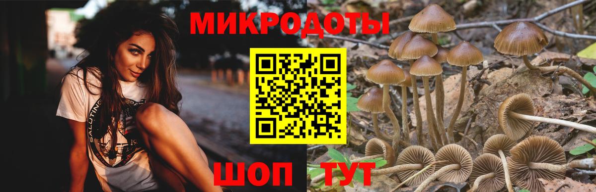 A-PVP Моздок