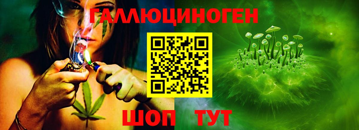 Галлюциногенные грибы Psilocybe  Псилоцибиновые грибы Psilocybe  Моздок  Вход с VPN 