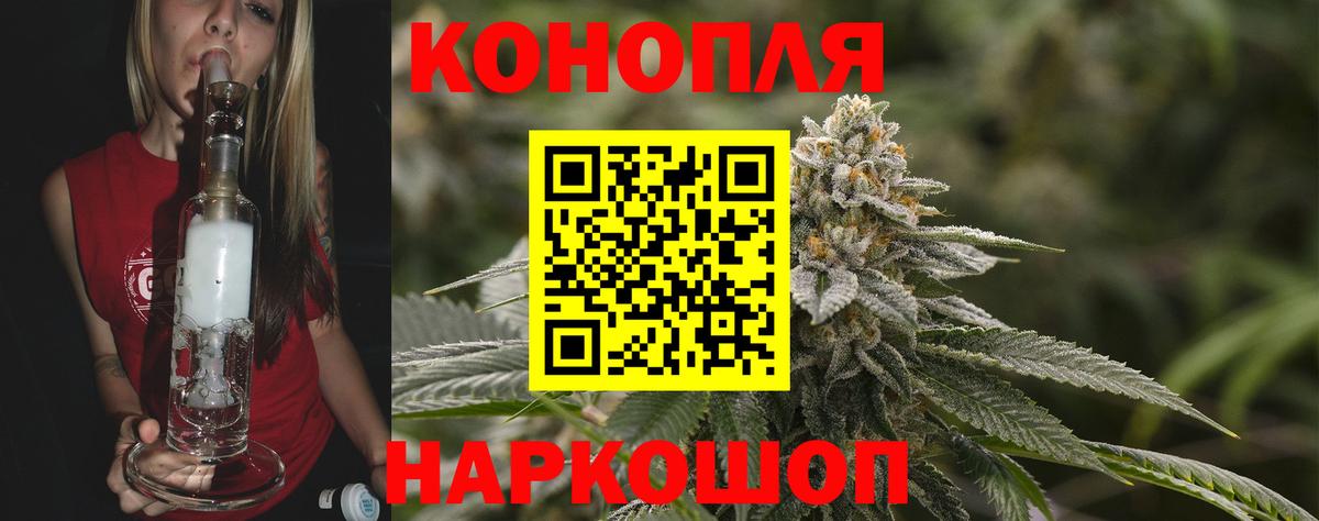 Каннабис конопля Моздок